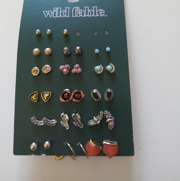 wild fable Jewelry - Wild Fable stud earring set new fun trendy